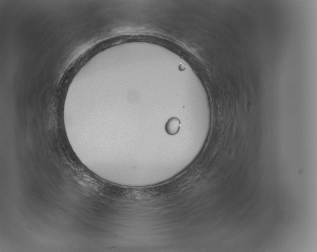 X0000060271311200511241443