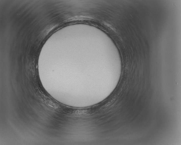 X0000060271313200511241444