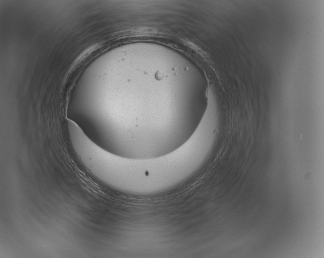 X0000060271314200511241444