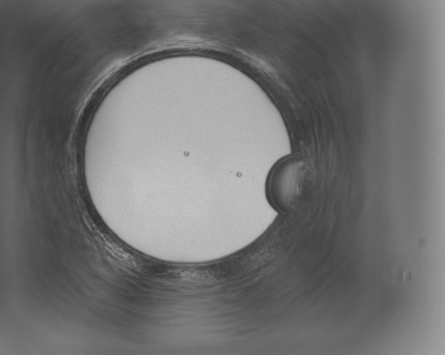 X0000060271318200511241444