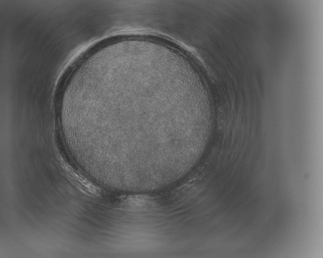 X0000060271319200511241444