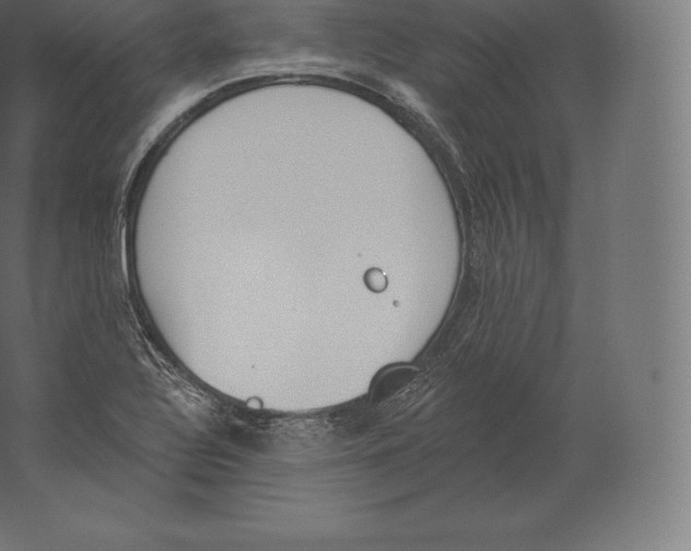 X0000060271320200511241444