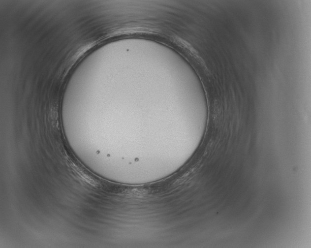 X0000060271321200511241444