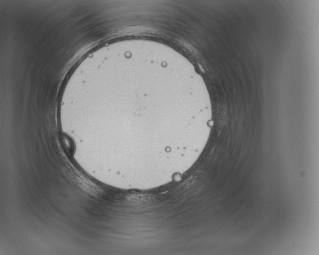 X0000060271322200511241444