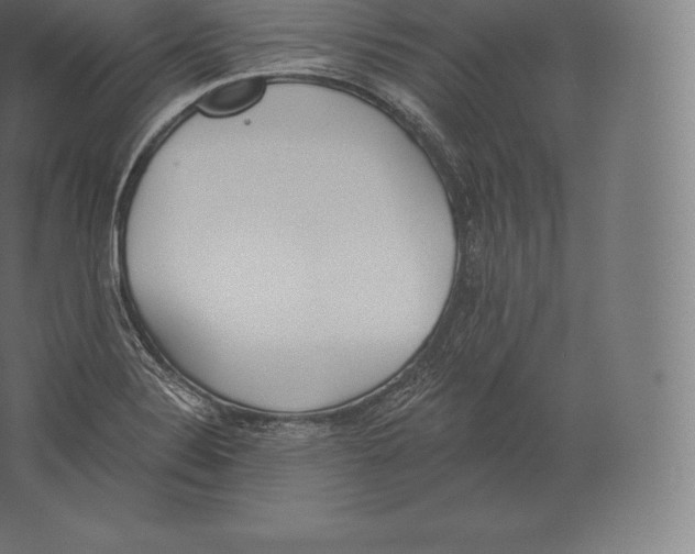 X0000060271324200511241444