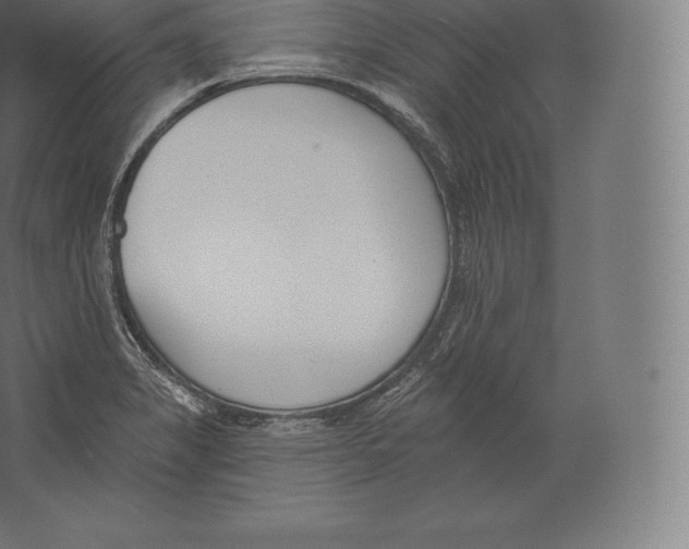 X0000060271325200511241444