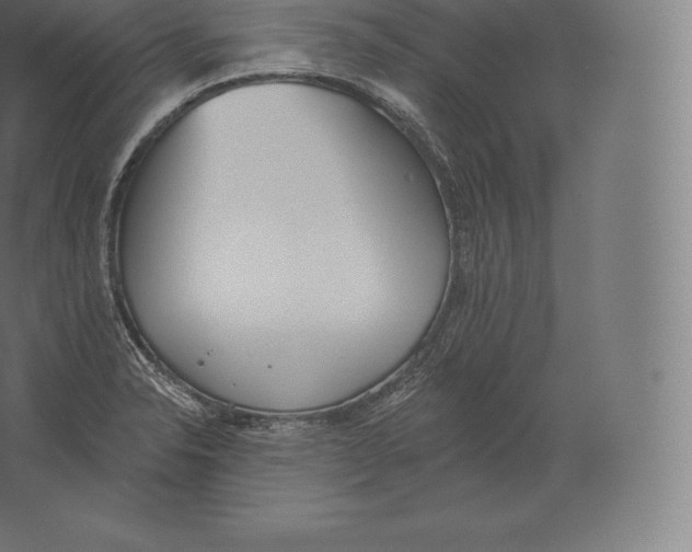 X0000060271326200511241444