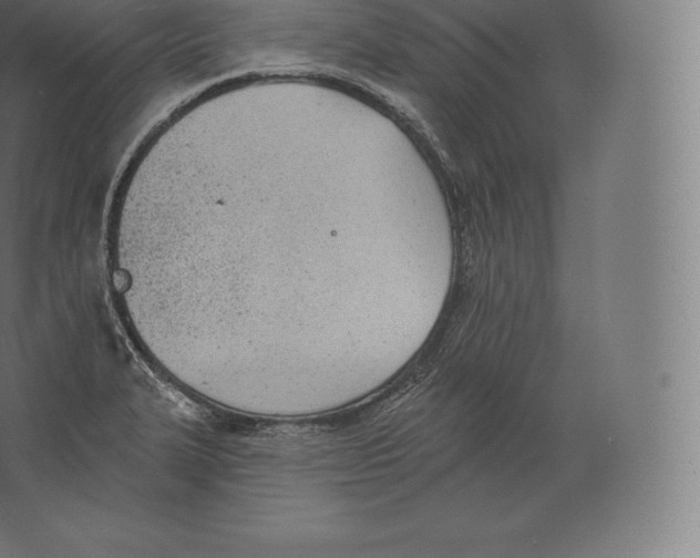 X0000060271327200511241444