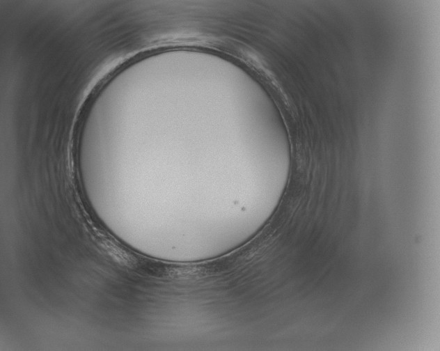 X0000060271328200511241444