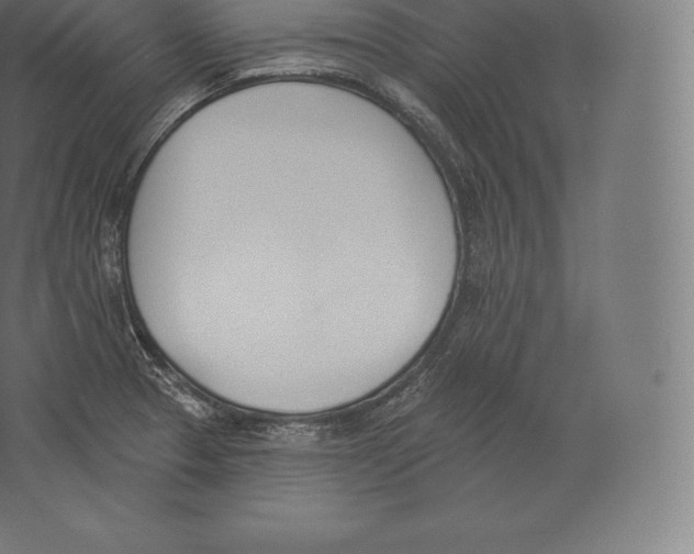 X0000060271329200511241444