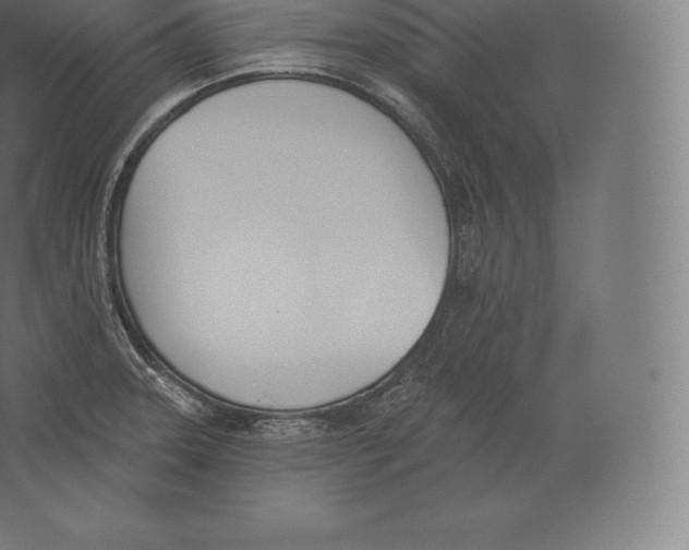 X0000060271331200511241444