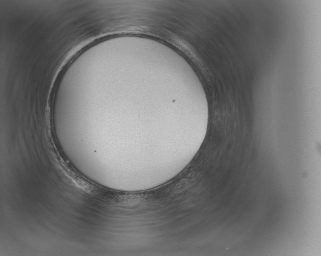 X0000060271332200511241444