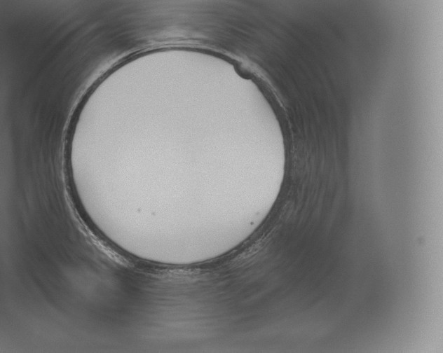 X0000060271333200511241444