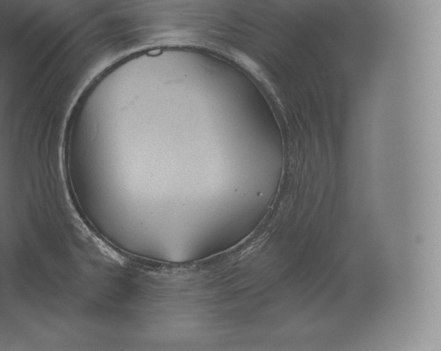 X0000060271334200511241444