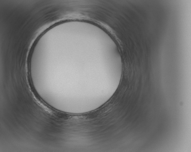 X0000060271335200511241444