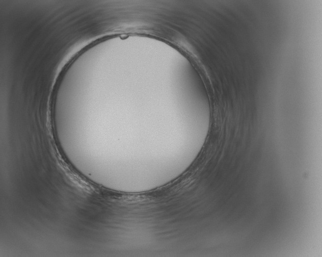 X0000060271336200511241444