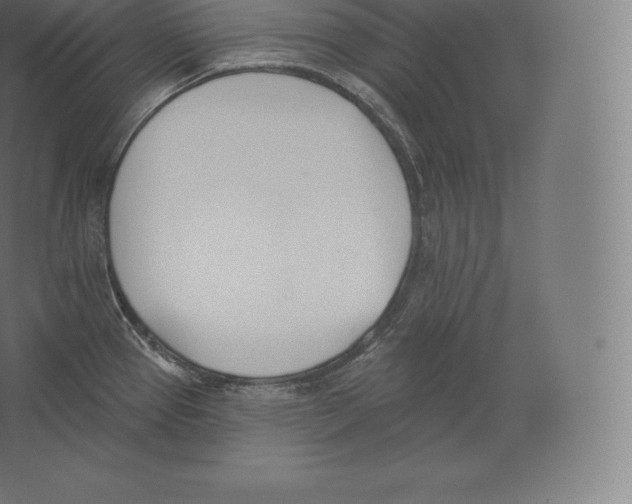 X0000060271337200511241444