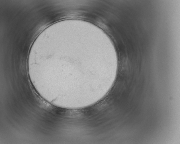 X0000060271338200511241444