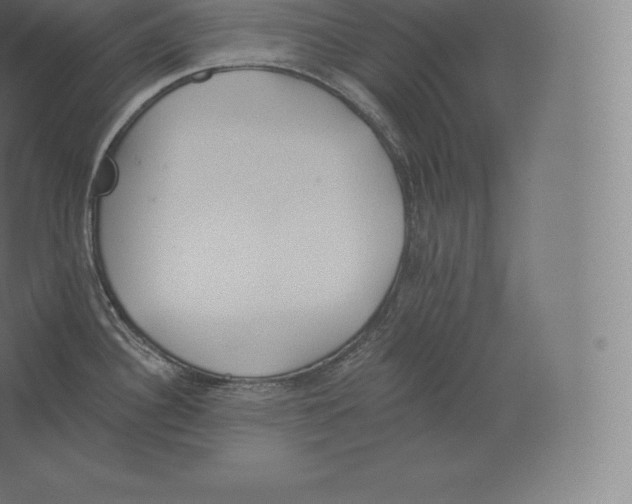 X0000060271340200511241444