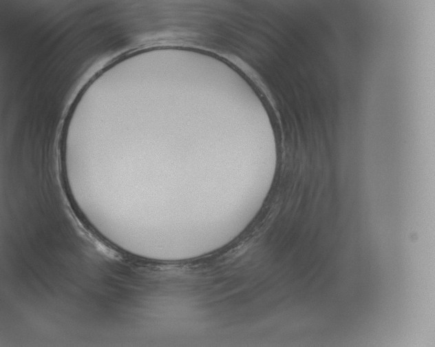 X0000060271341200511241444