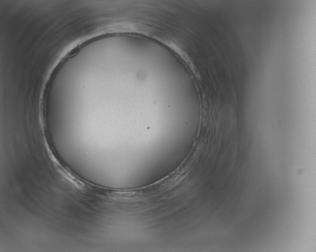 X0000060271342200511241444