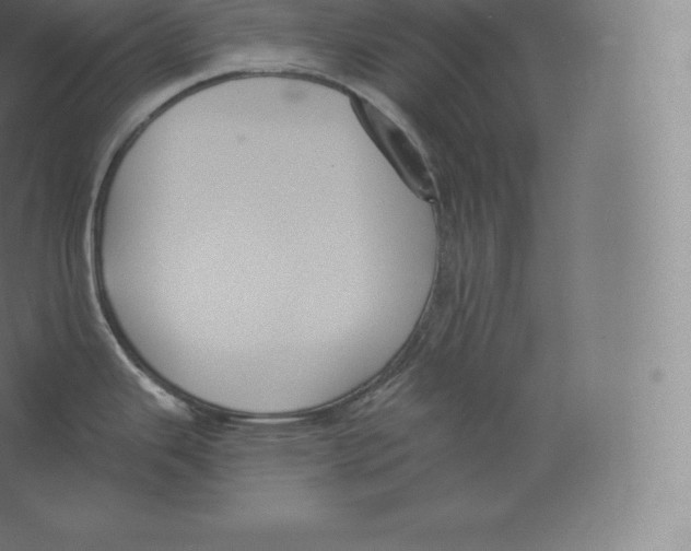 X0000060271343200511241444