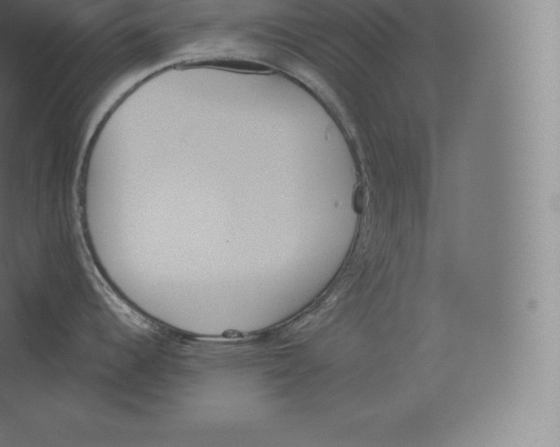 X0000060271344200511241444