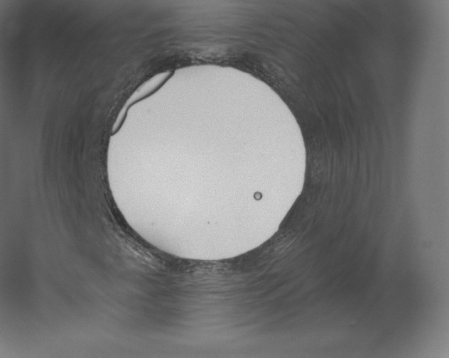 X0000060271345200511241443