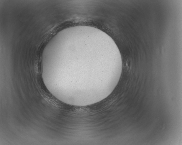 X0000060271348200511241443