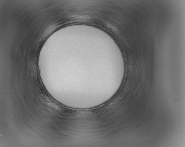 X0000060271354200511241443