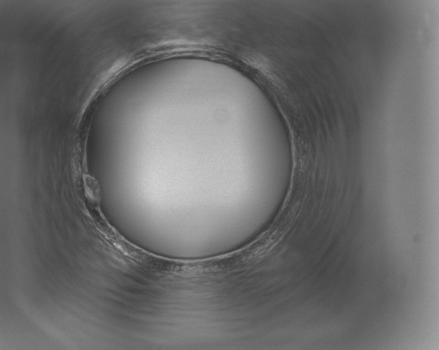 X0000060271357200511241443