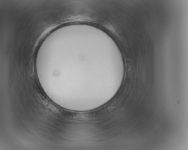 X0000060271358200511241443