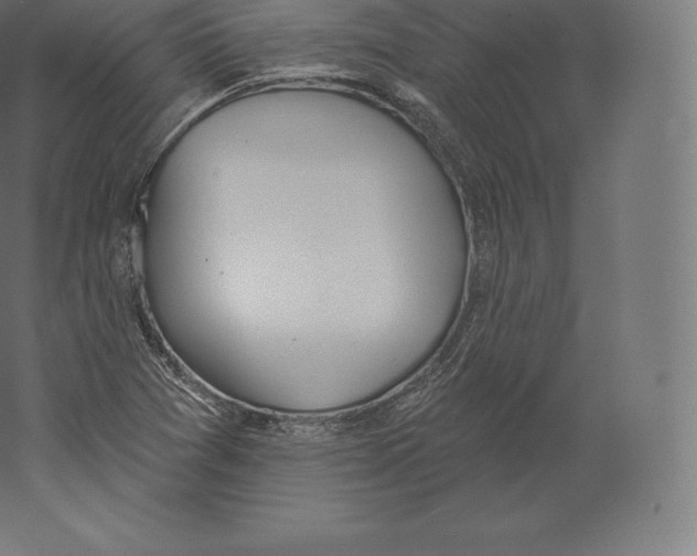 X0000060271361200511241443