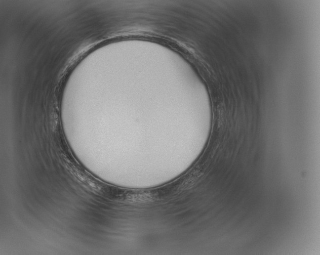 X0000060271363200511241443