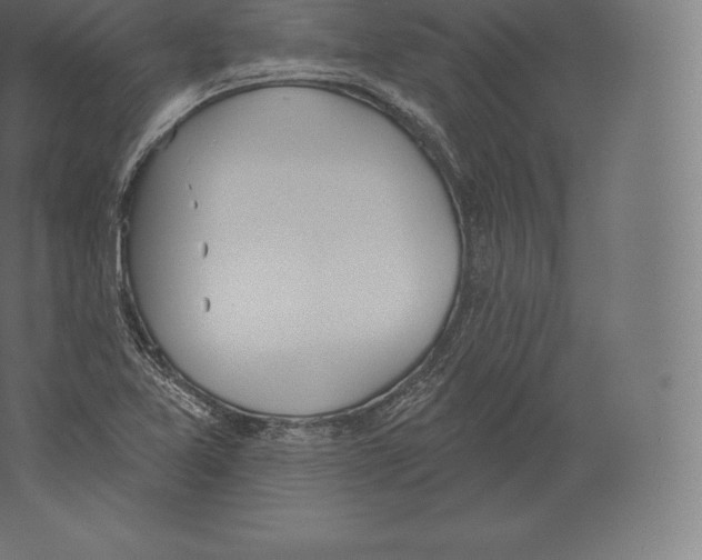 X0000060271365200511241443