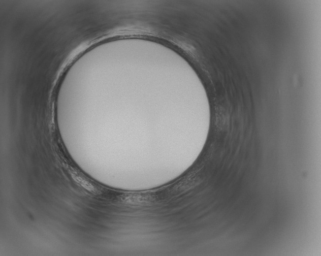 X0000060271366200511241443