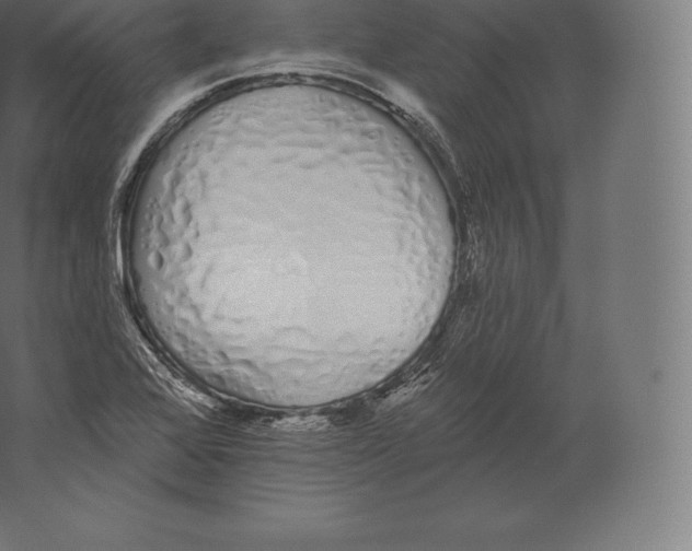 X0000060271368200511241443