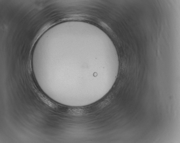 X0000060271370200511241443