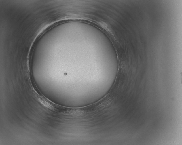 X0000060271372200511241443