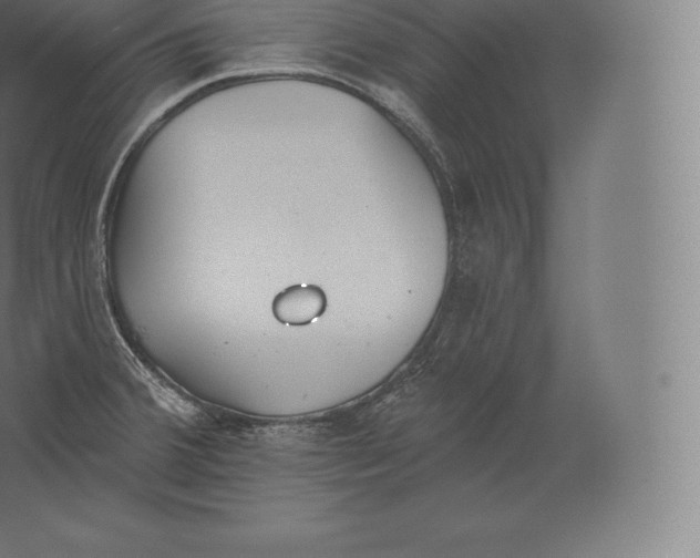 X0000060271380200511241443