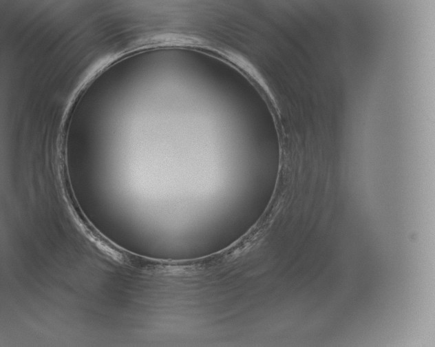 X0000060271381200511241443