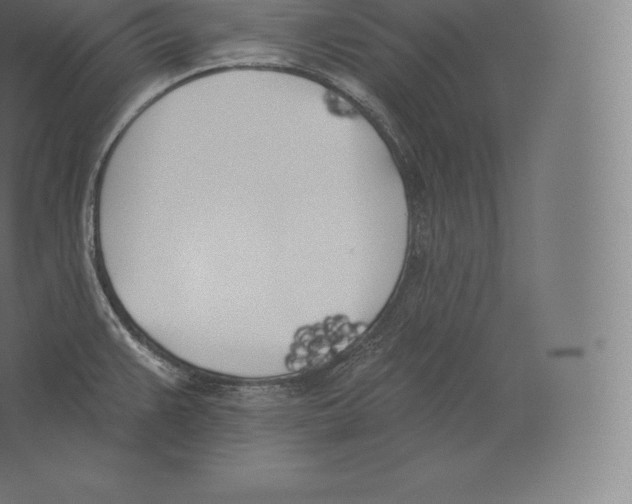 X0000060271383200511241443