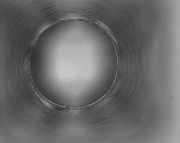 X0000060271385200511241443