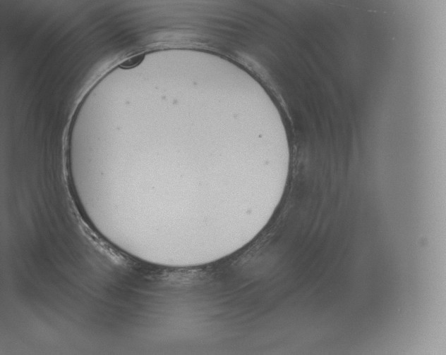 X0000060271386200511241443