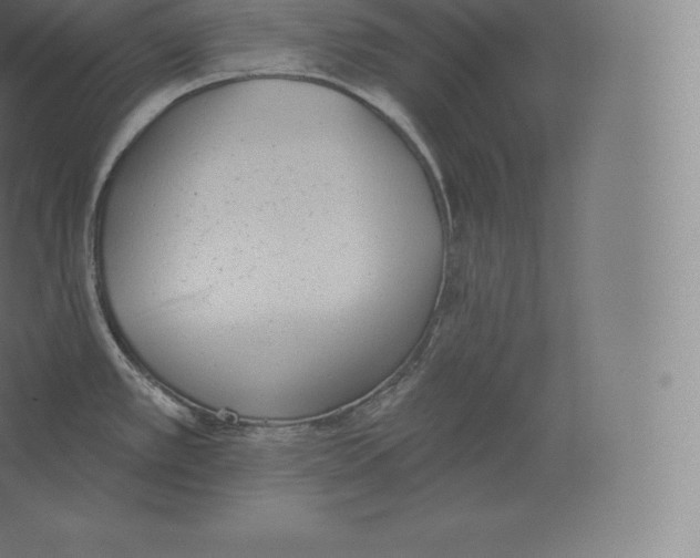 X0000060271389200511241442