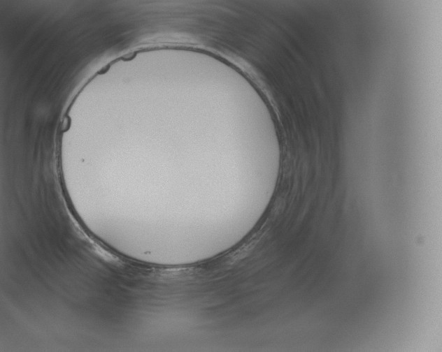 X0000060271390200511241442