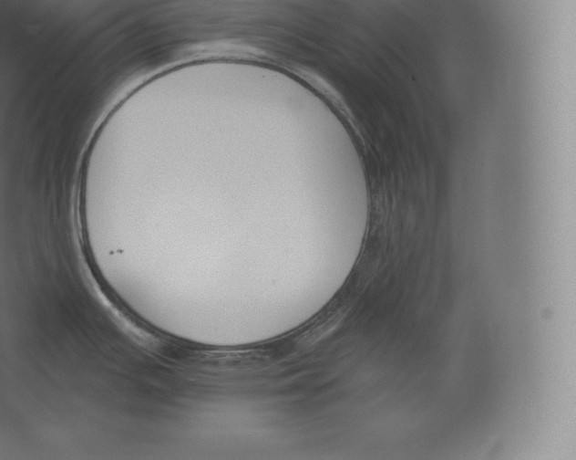 X0000060271391200511241442