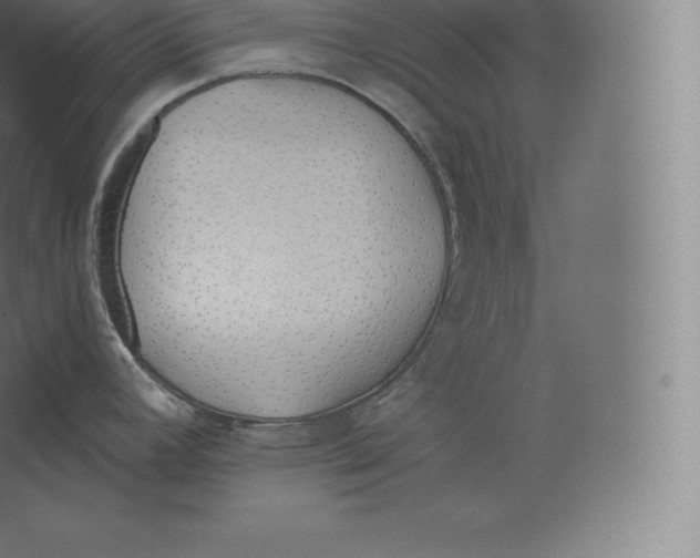 X0000060271392200511241442