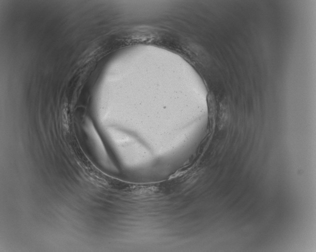 X0000060271394200511241442