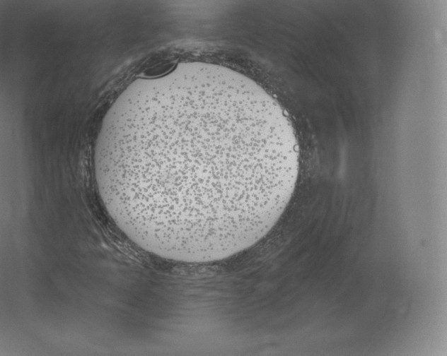 X0000060271397200511241442